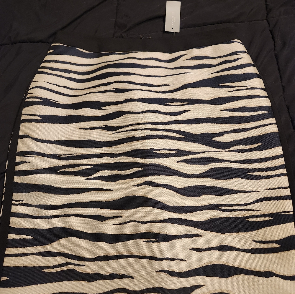 NWT Ann Taylor Pencil Skirt